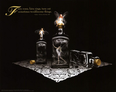 Fairies - Bottles Poster Fairies - Bottles Poster