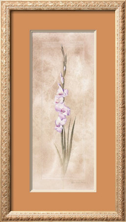 Lavender Orchids Framed Print Lavender Orchids Framed Print