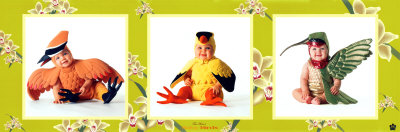Baby Birds Poster Baby Birds Poster