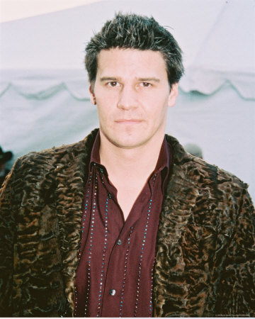 David Boreanaz Other David Boreanaz Other