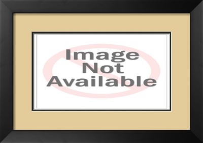 Quail Trail Framed Print Quail Trail Framed Print
