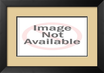 Blue Belles Framed Print Blue Belles Framed Print