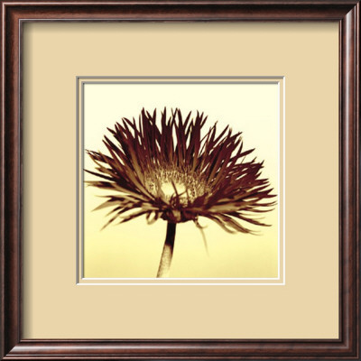 Deco Gerber Framed Print Deco Gerber Framed Print