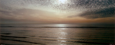 Serenity Print Serenity Print