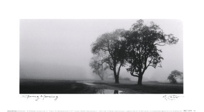 Spring Morning Print Spring Morning Print