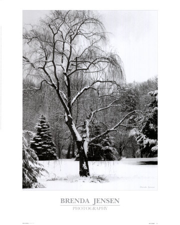 Storm's Passing Print Storm's Passing Print