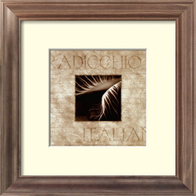 Radicchio Framed Print Radicchio Framed Print