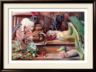 Dog Tired II Framed Print Dog Tired II Framed Print