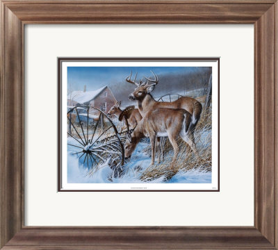 Snow Drifters Framed Print Snow Drifters Framed Print