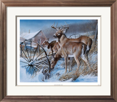 Snow Drifters Framed Print Snow Drifters Framed Print