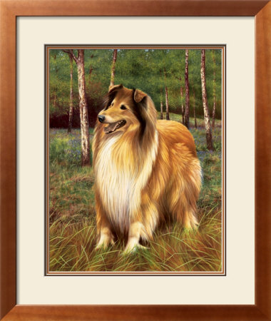 Rough and Ready Framed Print Rough and Ready Framed Print