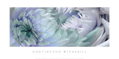 Dahlias VI Print Dahlias VI Print