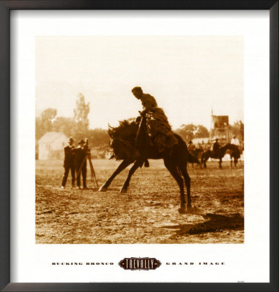 Bucking Bronco Framed Print Bucking Bronco Framed Print
