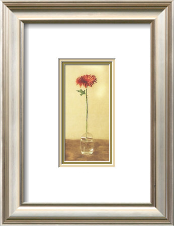 Orange Gerbera Framed Print Orange Gerbera Framed Print