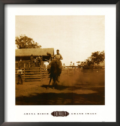 Arena Rider Framed Print Arena Rider Framed Print