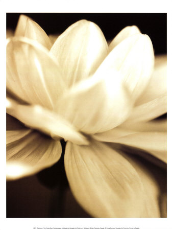 Radiance II Print Radiance II Print