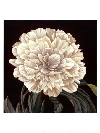 Full Bloom II Print Full Bloom II Print