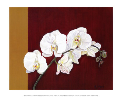 Orchid Study II Print Orchid Study II Print
