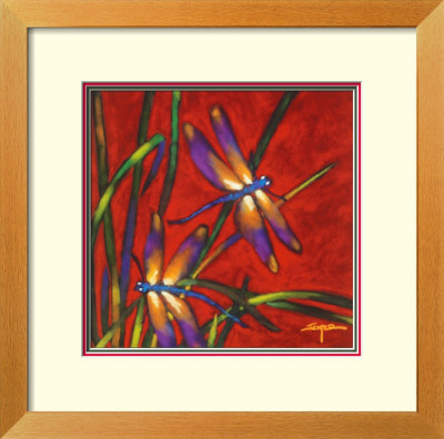 Dragonfly Dreams Framed Print Dragonfly Dreams Framed Print
