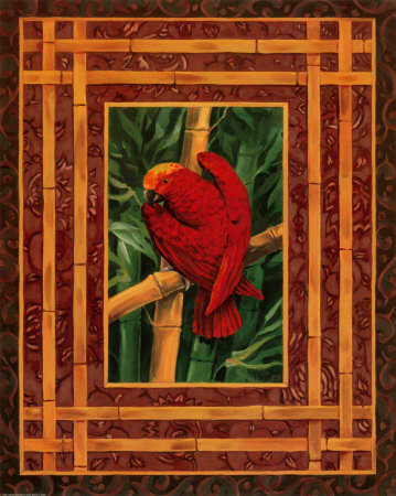 Crimson Parrot Print Crimson Parrot Print