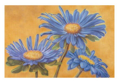 Blue Asters Print Blue Asters Print