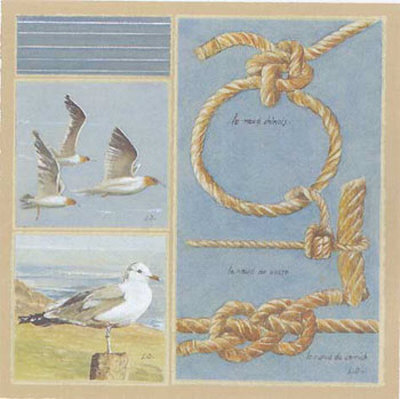 Les Noeuds Marins Print Les Noeuds Marins Print
