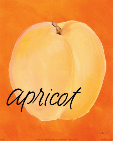 Apricot Print Apricot Print