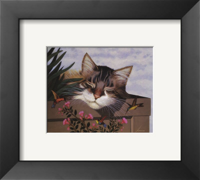 Rocky Selland Framed Print Rocky Selland Framed Print