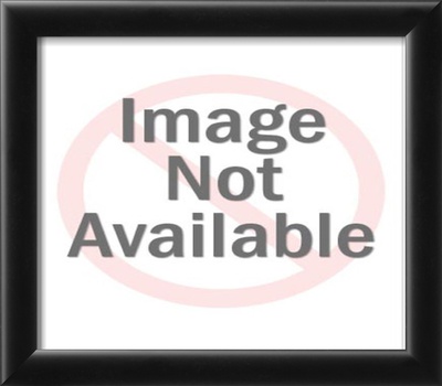 Stolen Horses Framed Print Stolen Horses Framed Print
