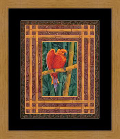 Mandarine Lovebird Framed Print Mandarine Lovebird Framed Print