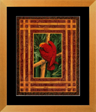 Crimson Parrot Framed Print Crimson Parrot Framed Print