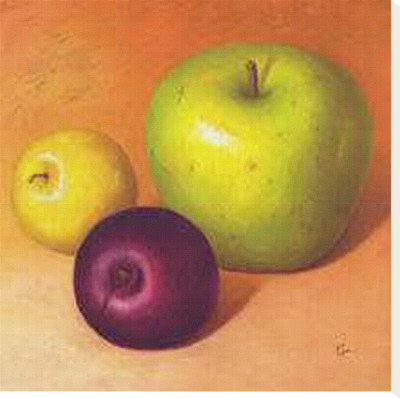 Two Apples and a Plum Stretched Canvas Print Two Apples and a Plum Stretched Canvas Print