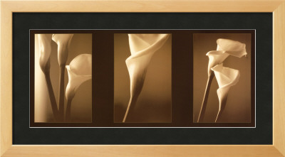 Enlightenment Framed Print Enlightenment Framed Print