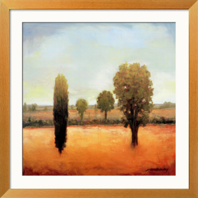 Summer's End Framed Print Summer's End Framed Print