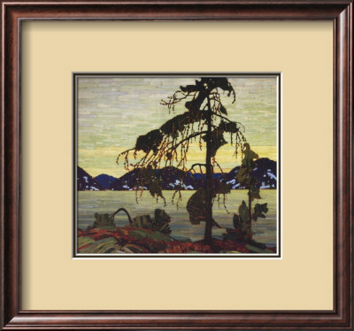 Jack Pine Framed Print Jack Pine Framed Print