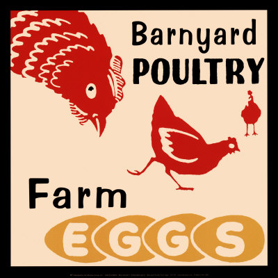 Barnyard Poultry-Farm Eggs Print Barnyard Poultry-Farm Eggs Print