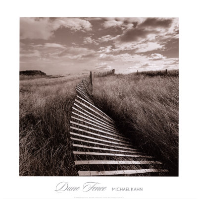 Dune Fence Print Dune Fence Print