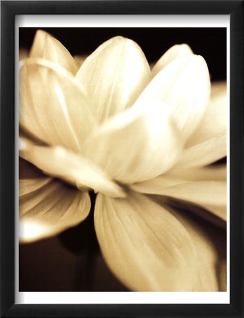 Radiance II Framed Print Radiance II Framed Print