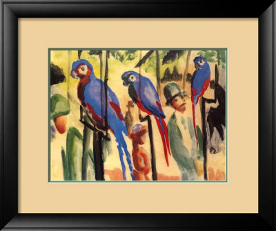 Macaws, Illustration Framed Print Macaws, Illustration Framed Print