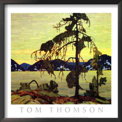 Jack Pine Framed Print Jack Pine Framed Print