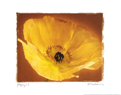 Poppy I Print Poppy I Print