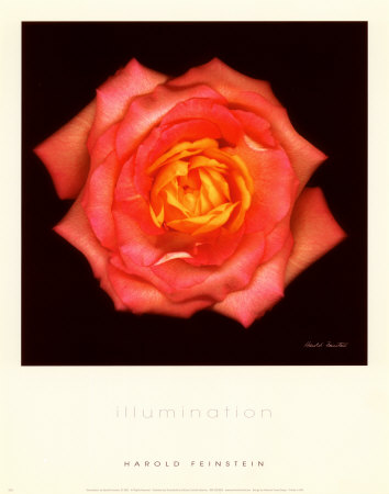Illumination Print Illumination Print