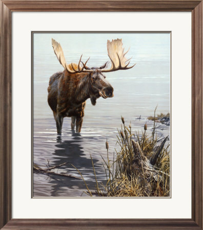 Silent Waters Framed Print Silent Waters Framed Print