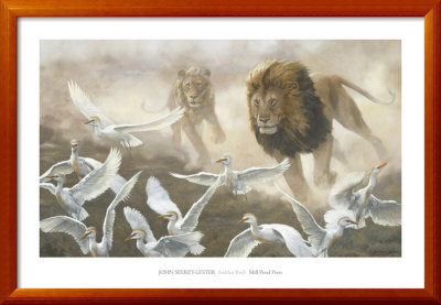 Sudden Rush Framed Print Sudden Rush Framed Print