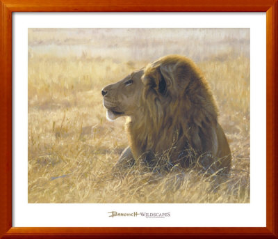 Danger on the Wind Framed Print Danger on the Wind Framed Print