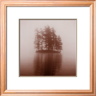 Pine Tree Island Framed Print Pine Tree Island Framed Print