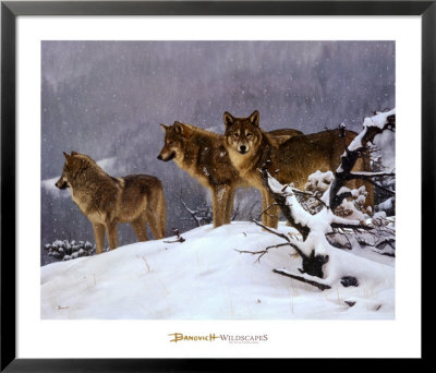 The Return Framed Print The Return Framed Print