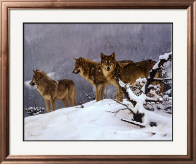 The Return Framed Print The Return Framed Print