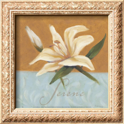 Serene Framed Print Serene Framed Print