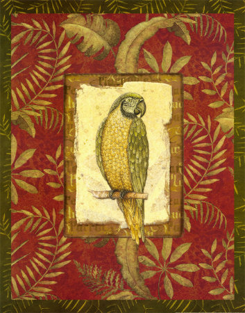 Exotica Parrot Print Exotica Parrot Print